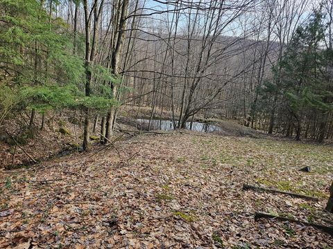 Homes For Sale - 763 Spring Run Road<br/> Forest County, Tionesta, PA 16353