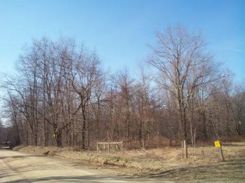 Photo for Dutch Road