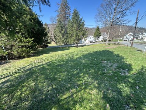 Vacant Land For Sale - 138 Elm Street<br/> Forest County, Tionesta, PA 16353