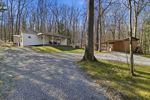 Homes For Sale - 356 German Hill Road<br/> Tionesta, PA 16353