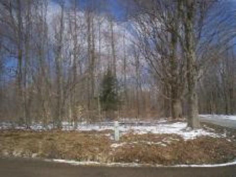 Photo for 
