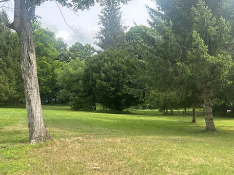 Vacant Land For Sale - 138 Elm Street<br/> Tionesta, PA 16353