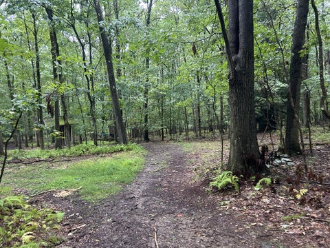 Vacant Land For Sale - 274 Bair Road<br/> Tionesta, PA 16353