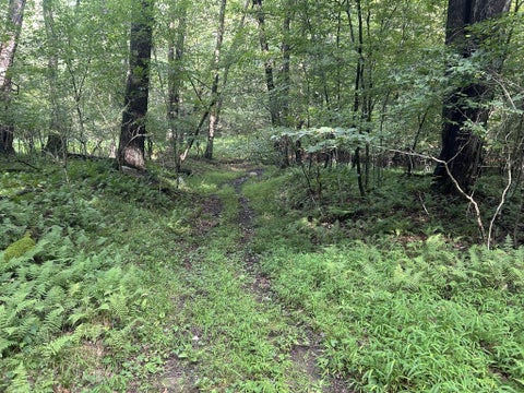 Vacant Land For Sale - . Valley Drive<br/> Leeper, PA 16233