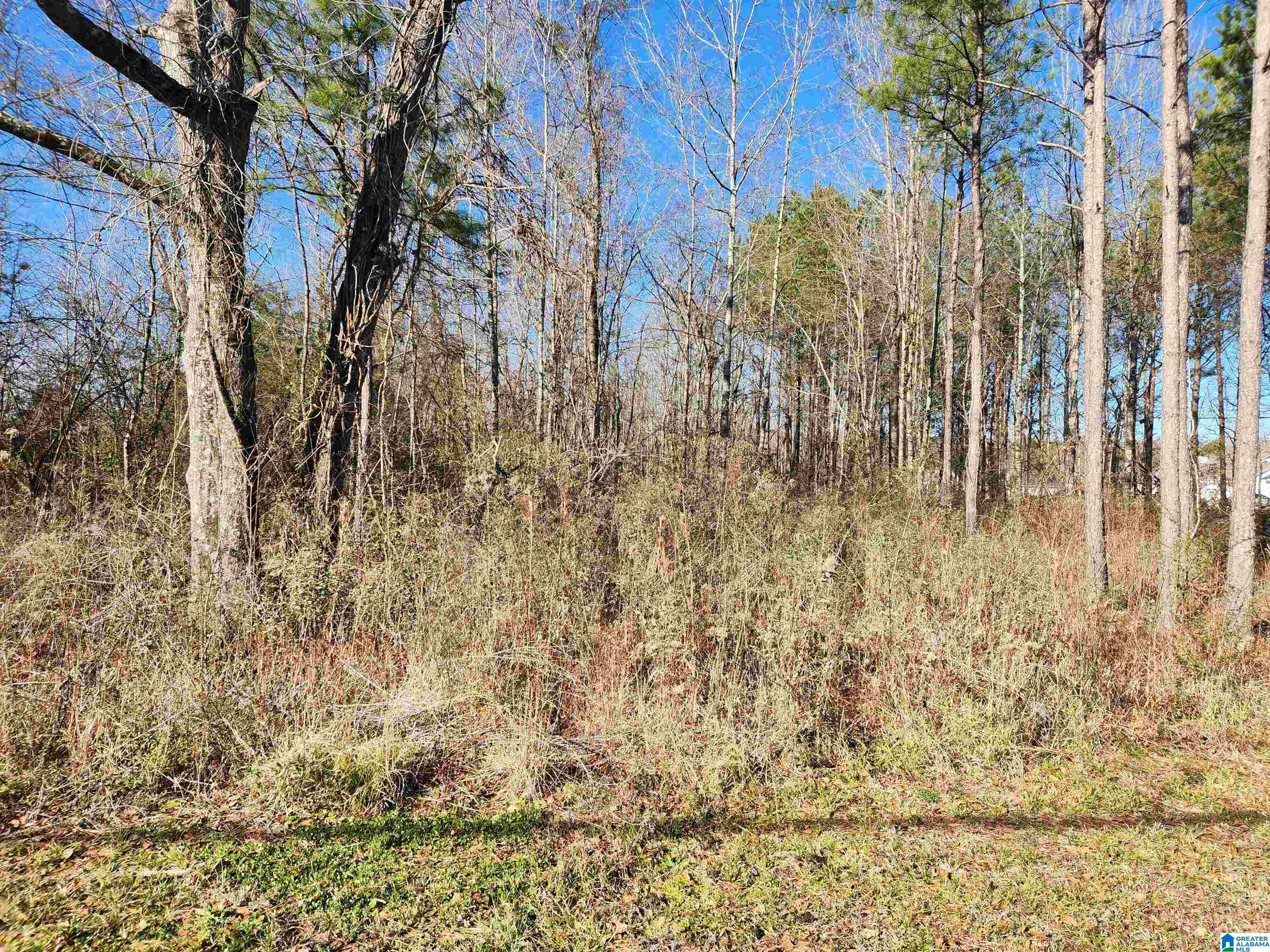 0 BONNIEVILLE DRIVE 1