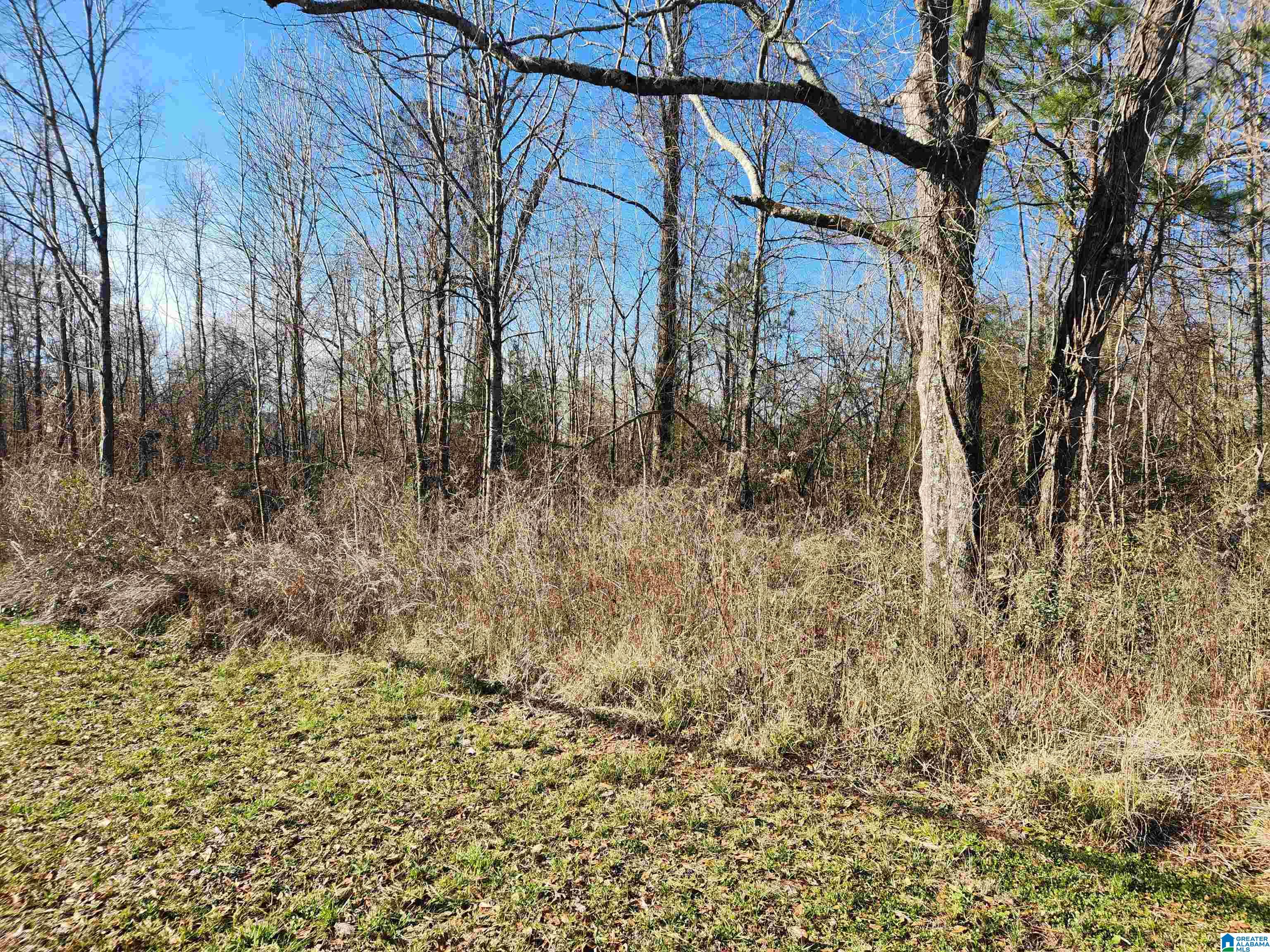 0 BONNIEVILLE DRIVE 1