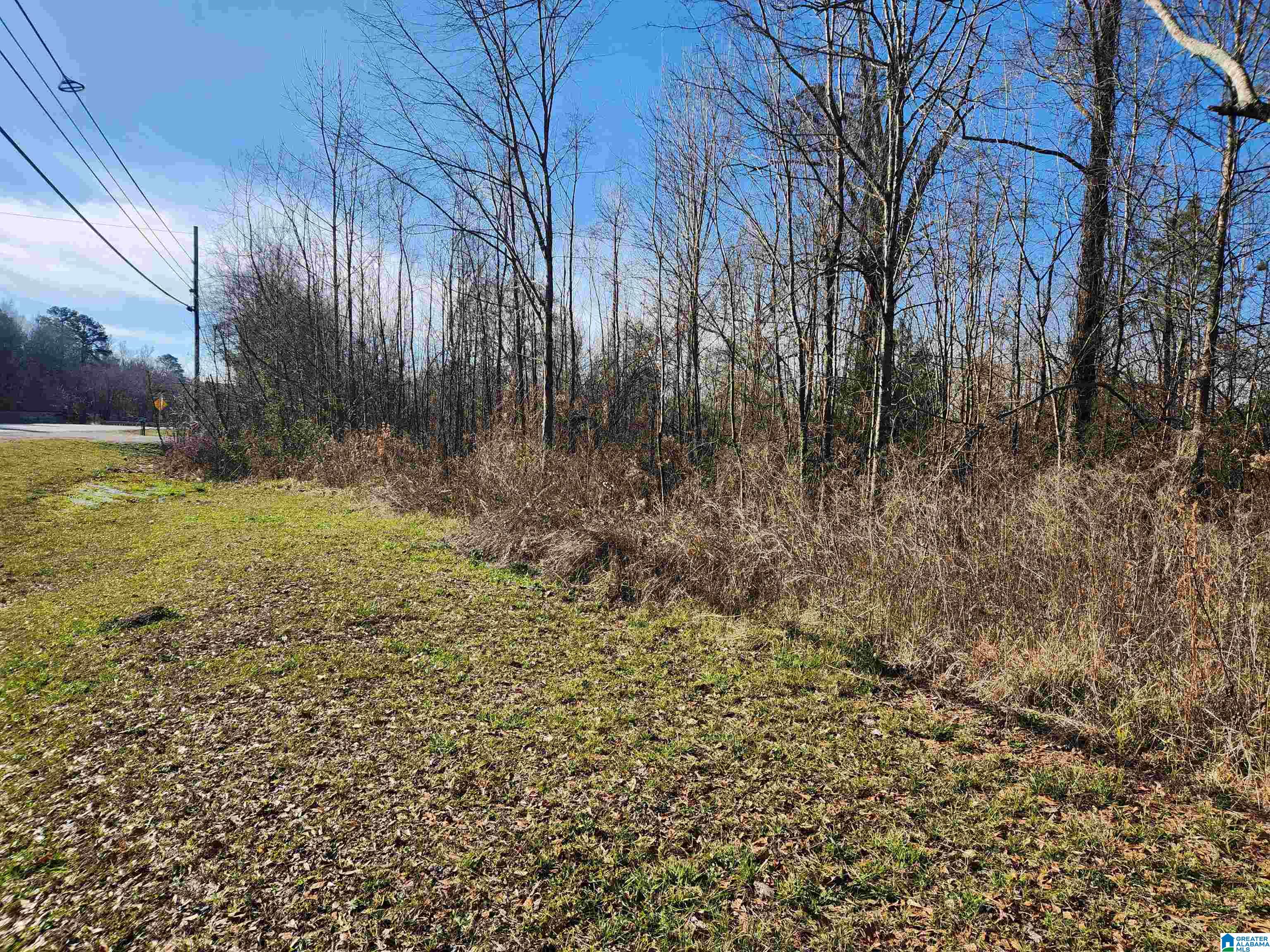 0 BONNIEVILLE DRIVE 1