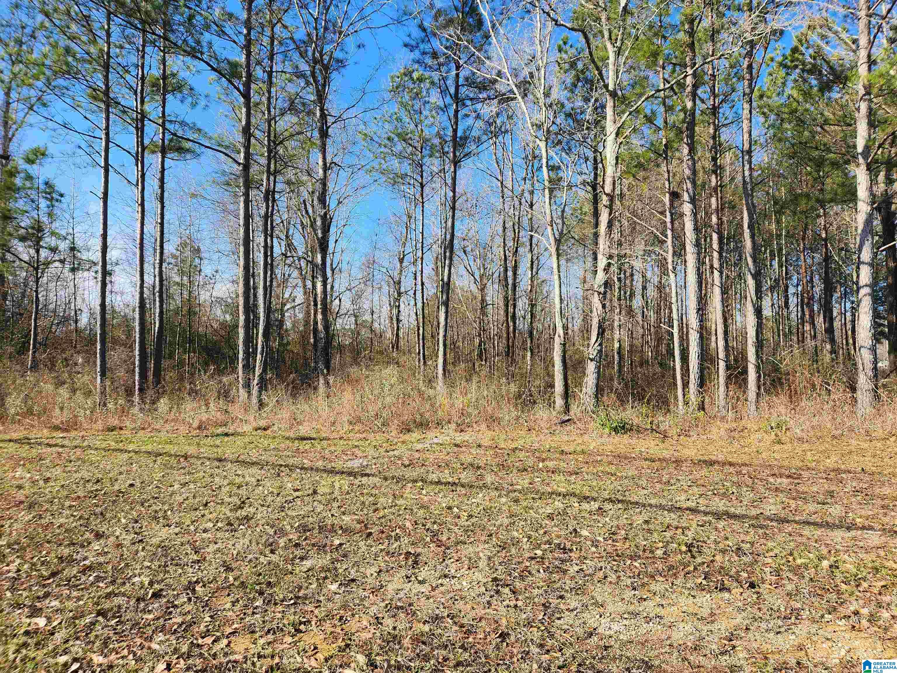 0 BONNIEVILLE DRIVE 1