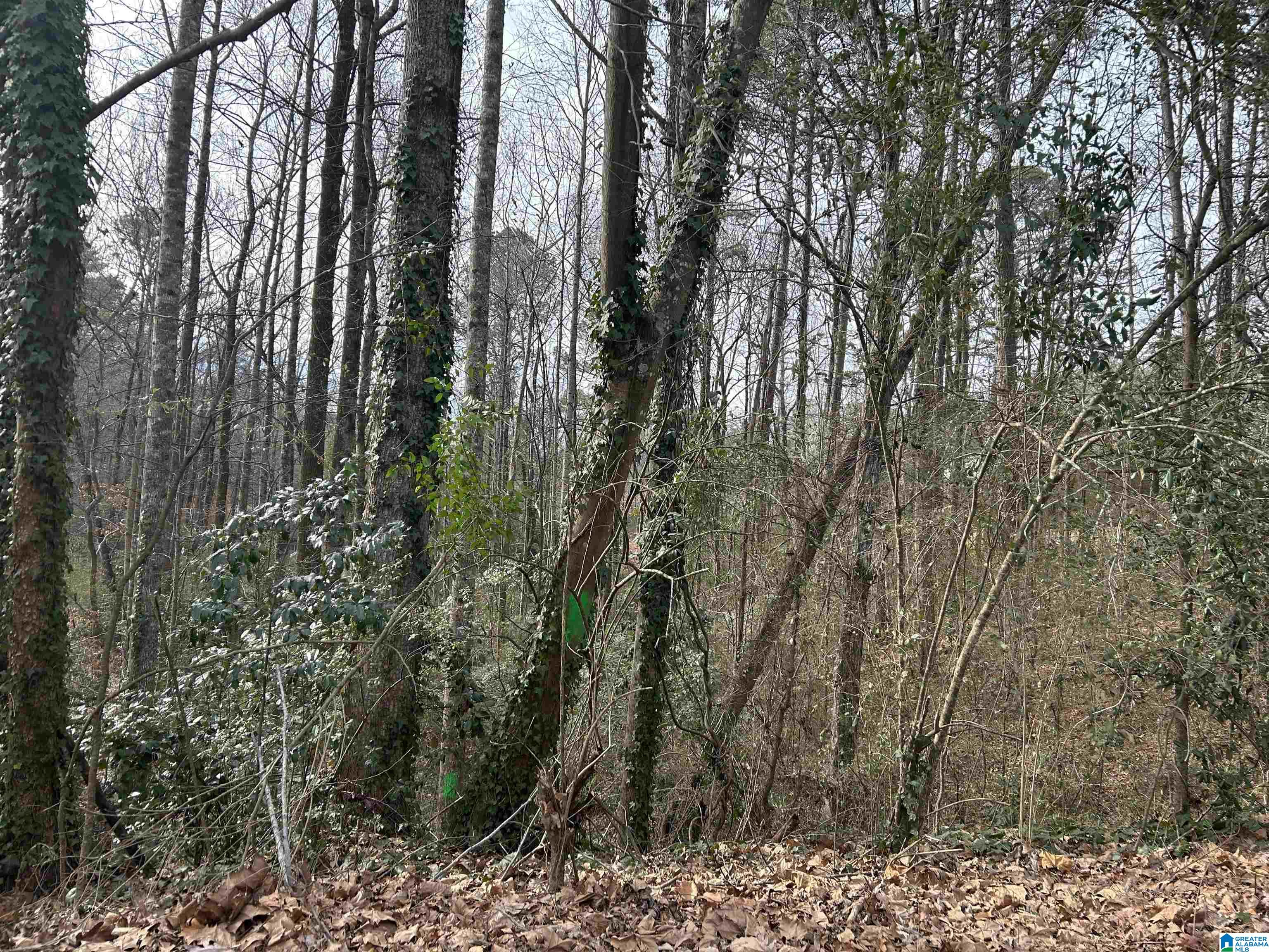 5455 VICKSBURG CIRCLE 38 - Photo 2
