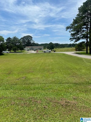 0 COUNTY ROAD 437 # 0, CULLMAN, AL 35057 - Image 00a9d0d469a0d8c9b3a11025f1c2af1c/656926987