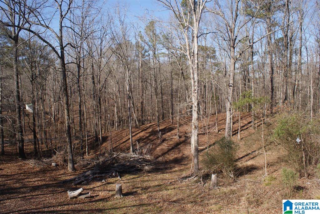 3965 BLACK HAWK DRIVE - Photo 4