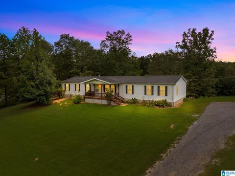 5710 S WOLF CREEK ROAD PELL CITY AL 35128