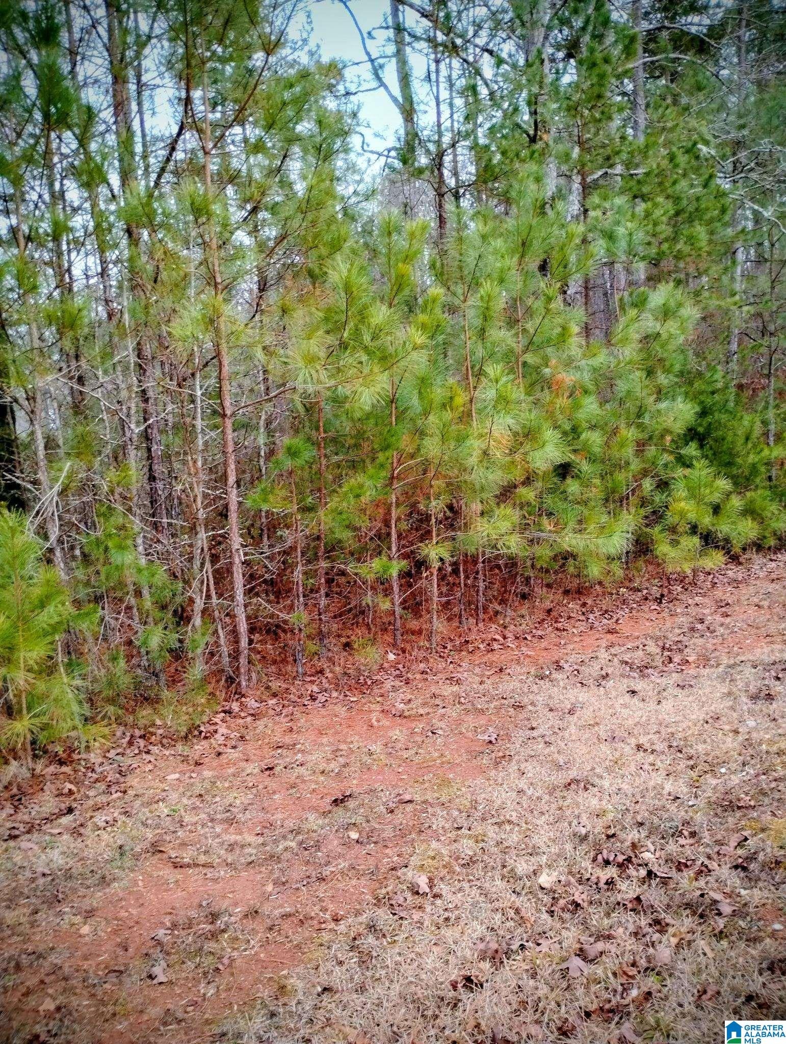 Lot 17 MANDY DRIVE Lot 17