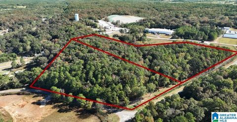 249 HIGHWAY 216 - MONTEVALLO AL 35115