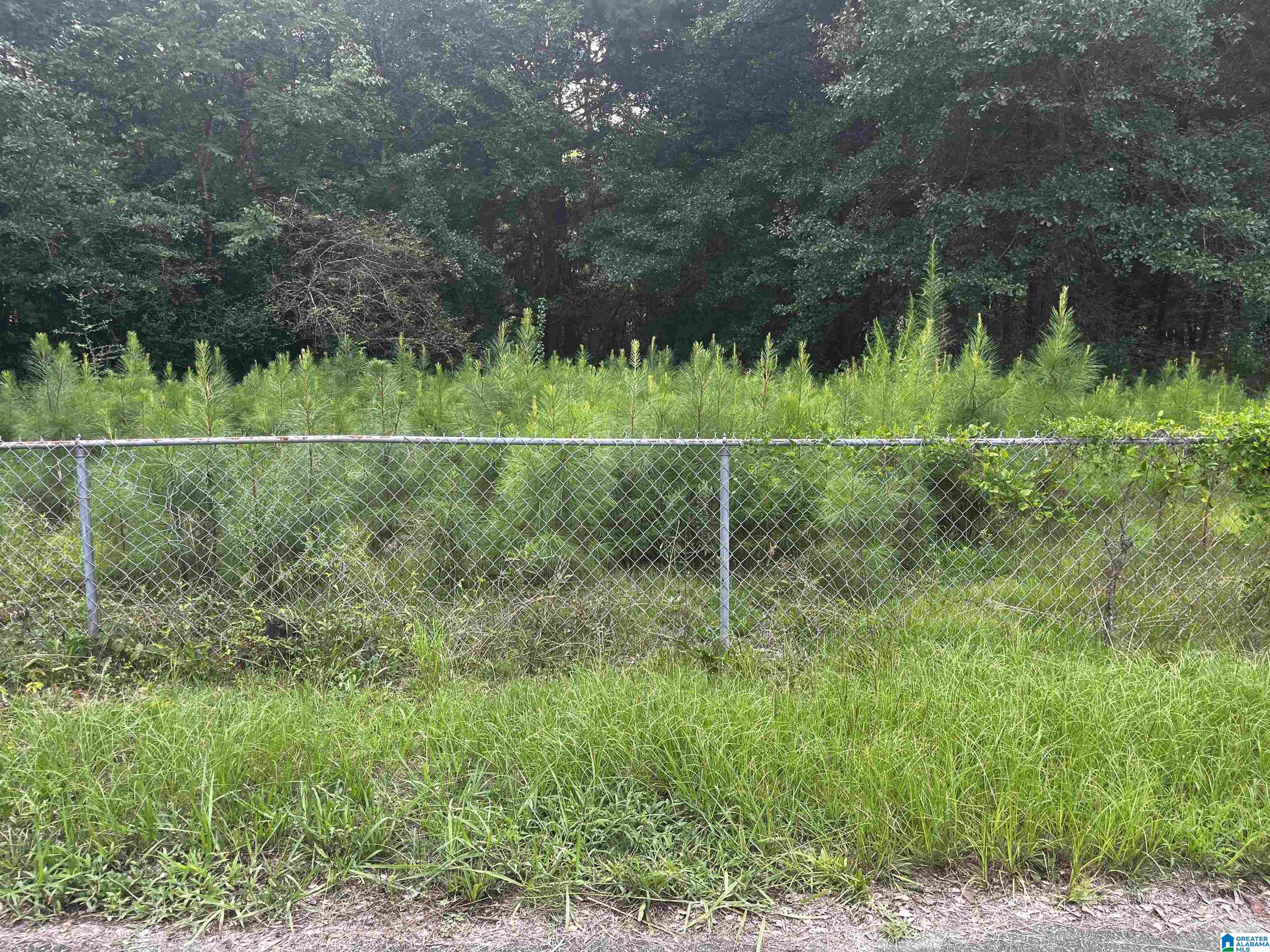 Photo 1 of 5 — 3006 WHISPERING PINES LANE 11, FULTONDALE, AL 35068