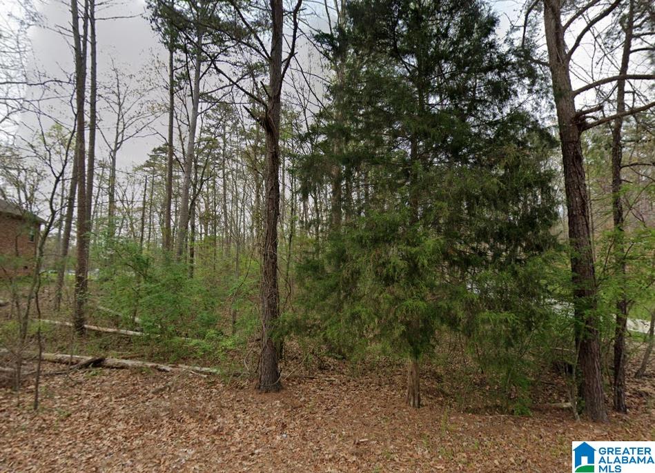 Photo 1 of 3 — 0 WOODLAND AVENUE 113, PINSON, AL 35126