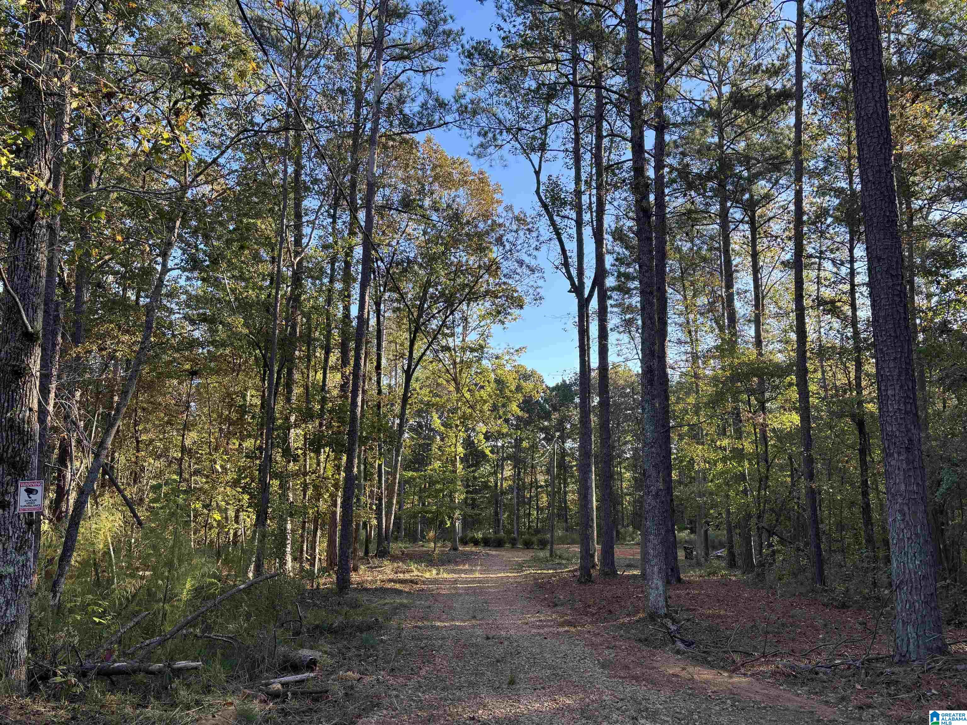 156 COUNTY ROAD 606 5.6
