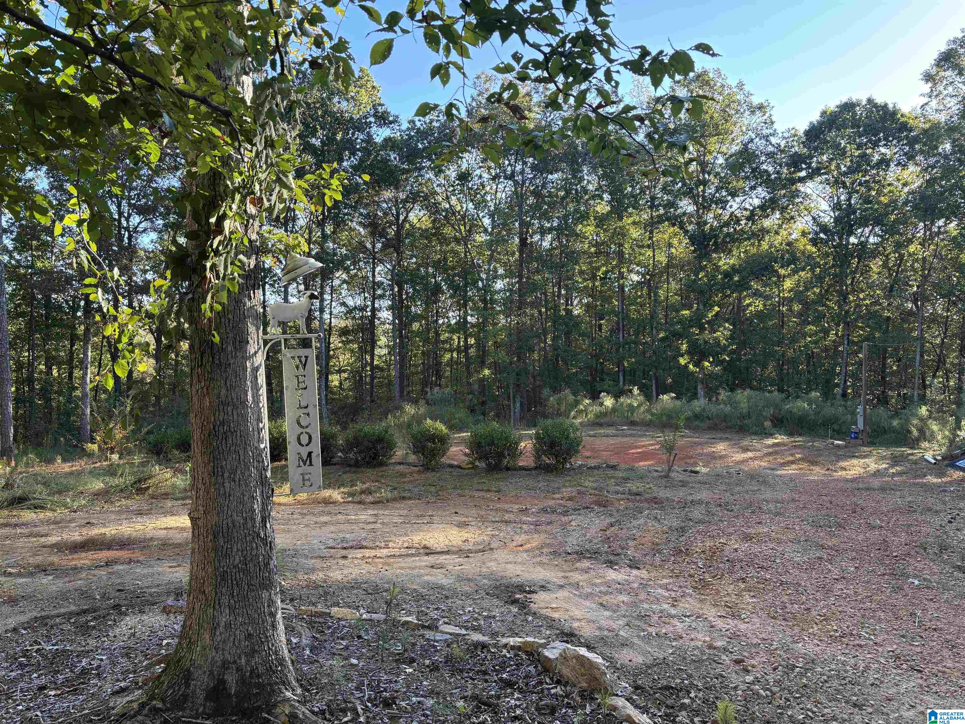 156 COUNTY ROAD 606 5.6