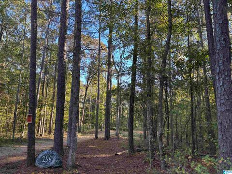 156 COUNTY ROAD 606 5.6 WOODLAND AL 36280
