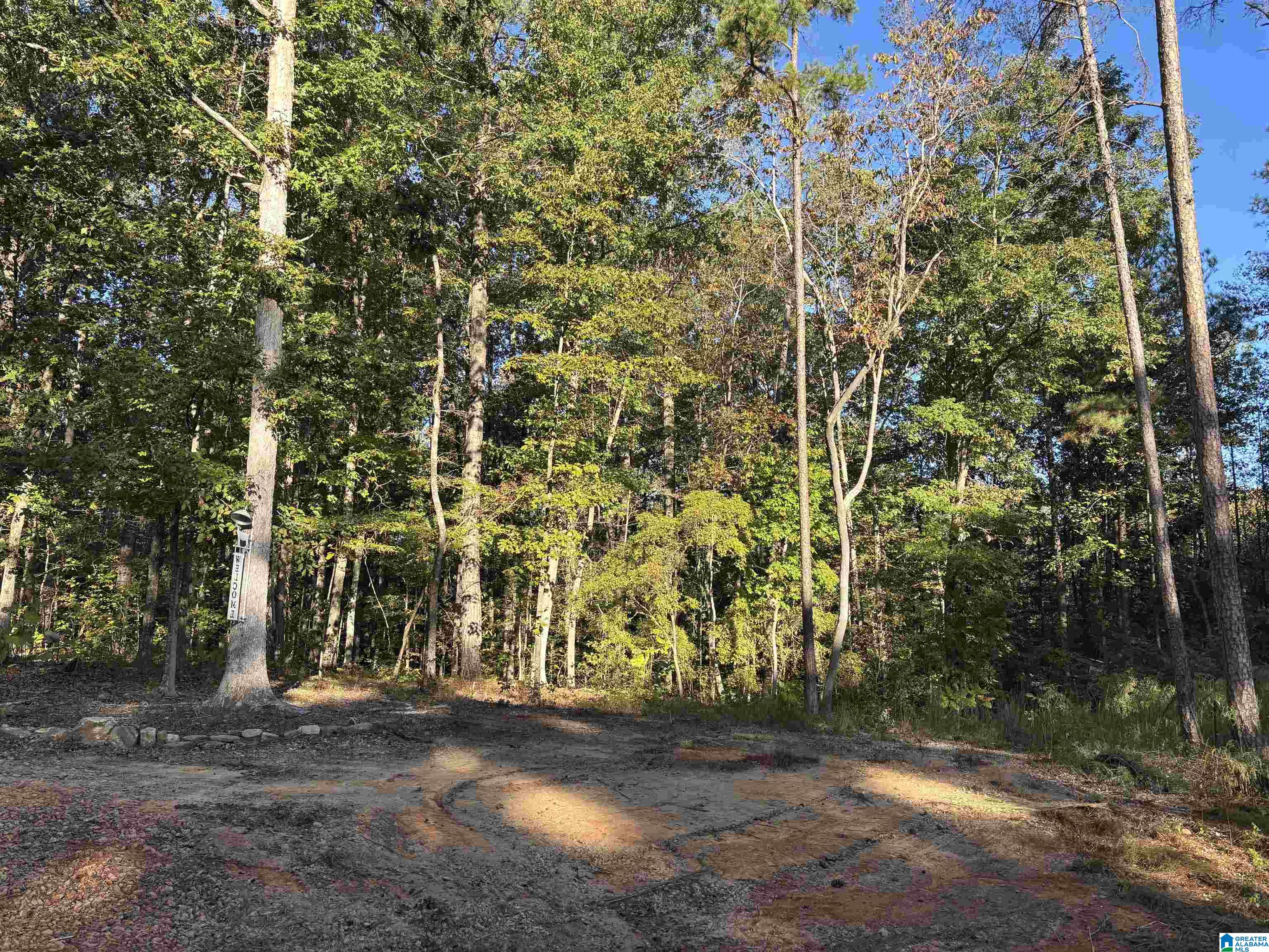 156 COUNTY ROAD 606 5.6
