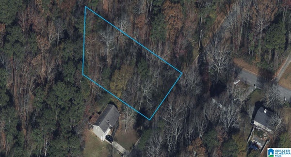 100 PLEASANT VALLEY DR # 1, BIRMINGHAM, AL 35217 - Image 0235e39ef9db84c07364f6b9d09e5293/3024258887