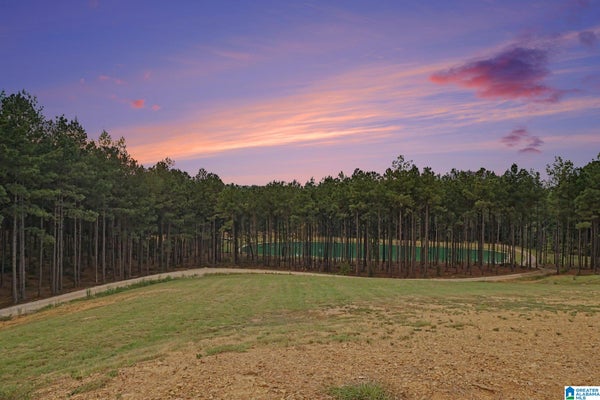 372 CHELSEA FARMS LN # 20, CHELSEA, AL 35043 - Image 0248811cad9527669c8ebb35b03cba6f/3930802148