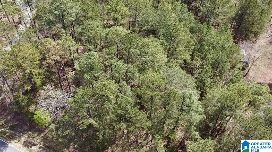 11490 HIGHWAY 55 LOT 1AA