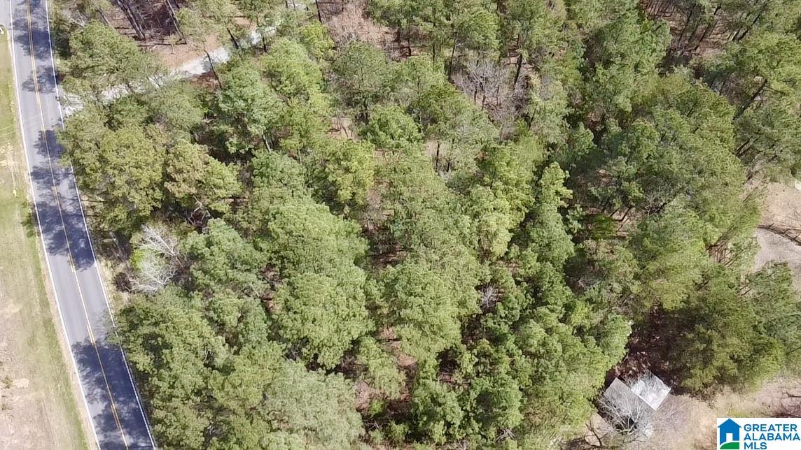 11490 HIGHWAY 55 LOT 1AA