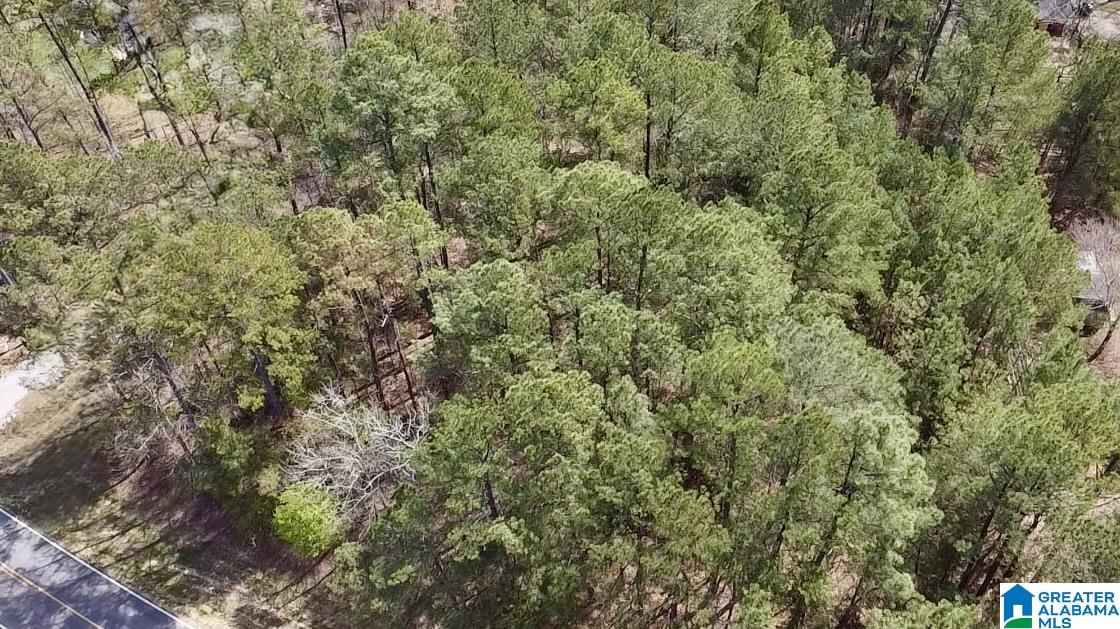 11490 HIGHWAY 55 LOT 1AA