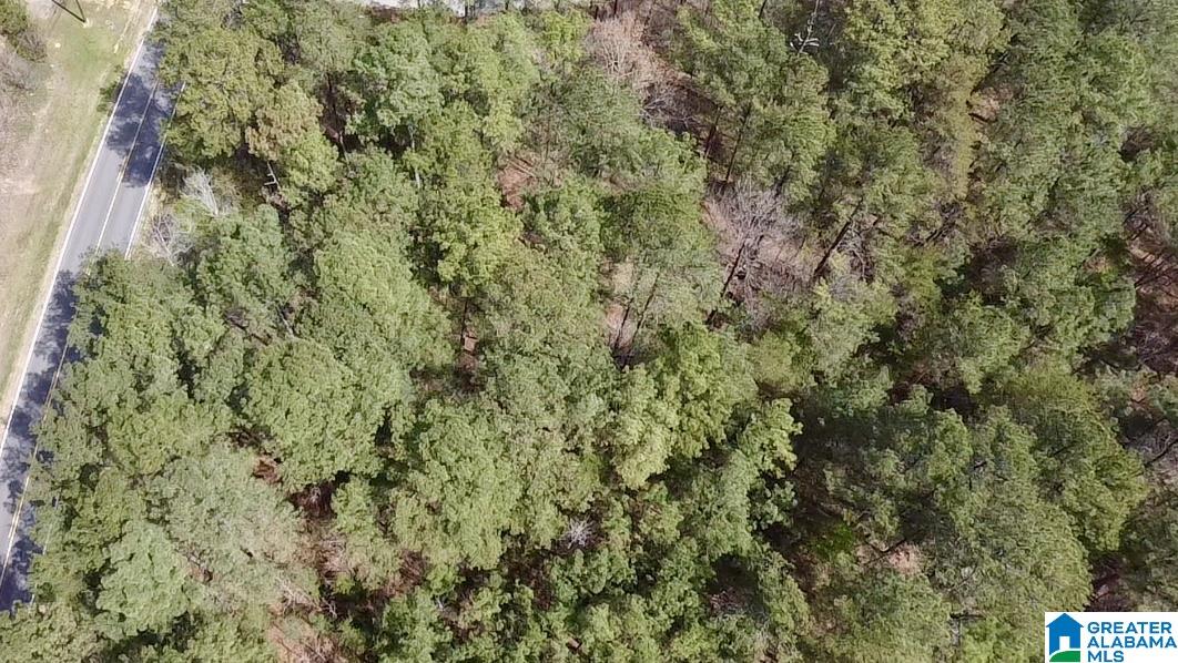 11490 HIGHWAY 55 LOT 1AA