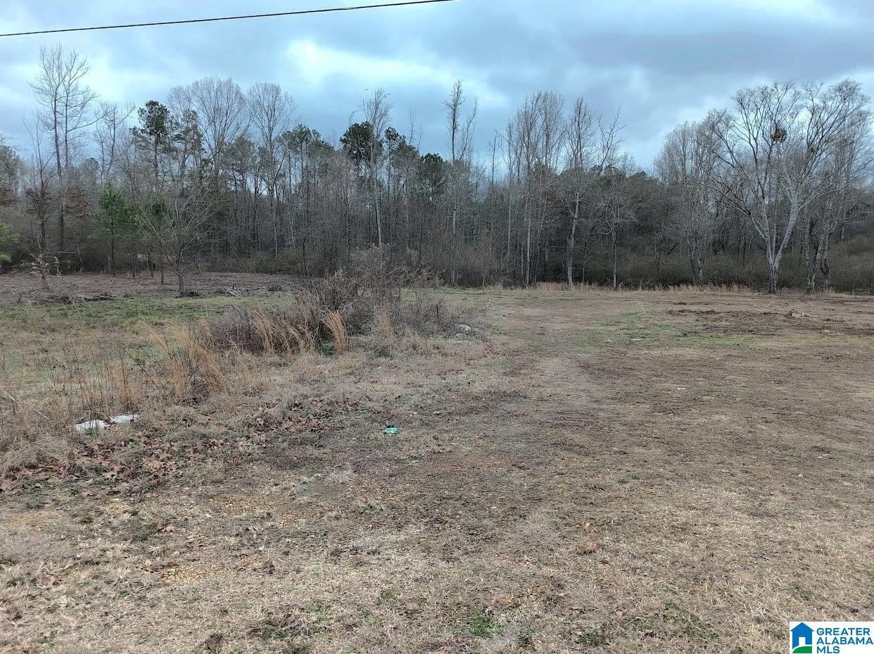 6035 REDMILL SARAGOSSA ROAD 0