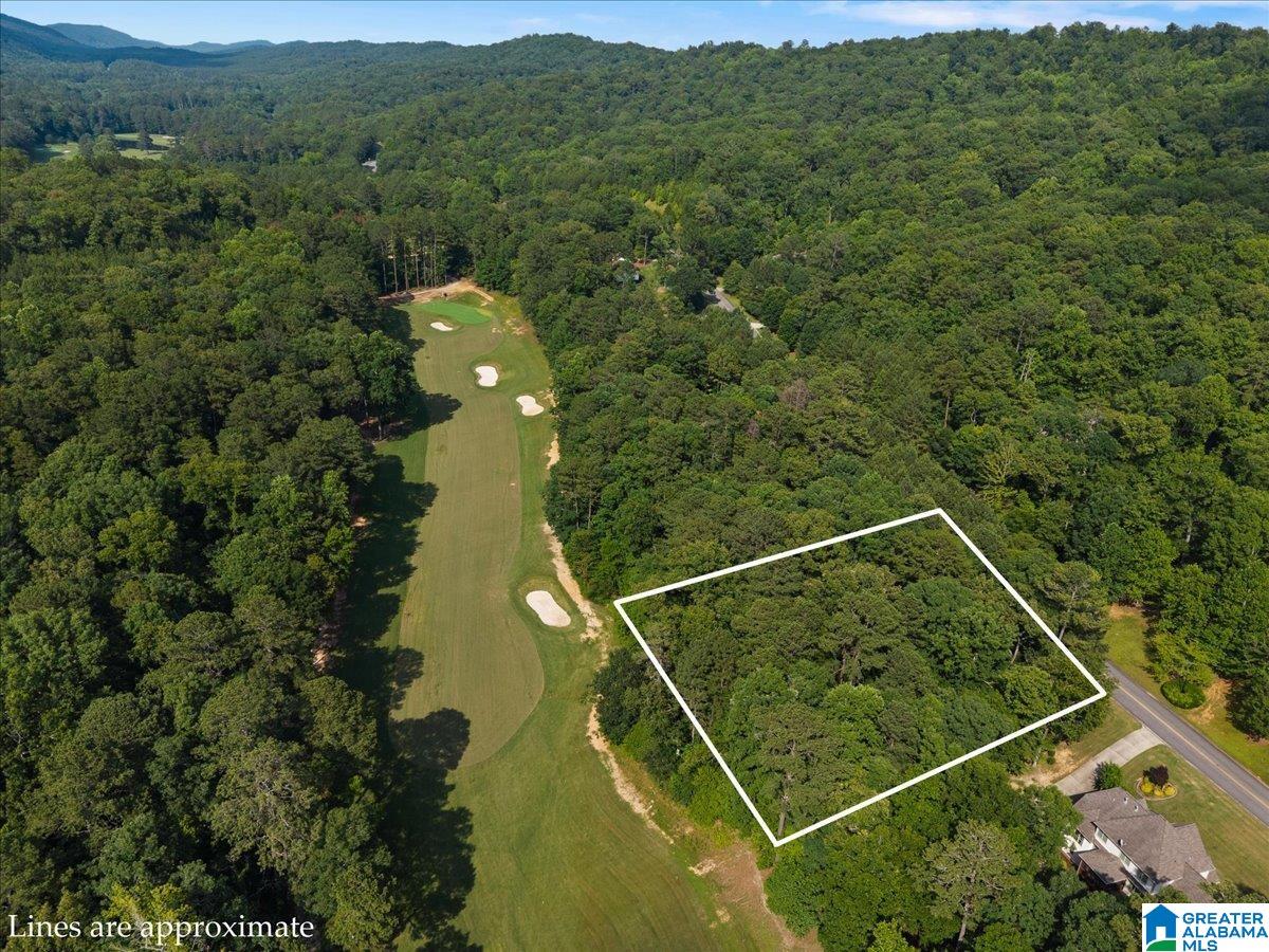 Photo 1 of 22 — 433 SAINT ANDREWS PARKWAY 1, ONEONTA, AL 35121