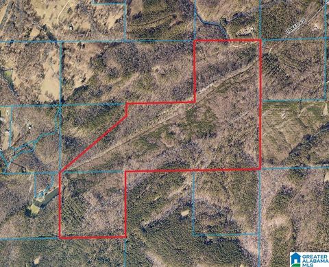 0 BAKER ROAD 0 ODENVILLE AL 35120