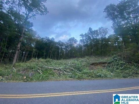 2005 ROCK MOUNTAIN DRIVE 5 MCCALLA AL 35111
