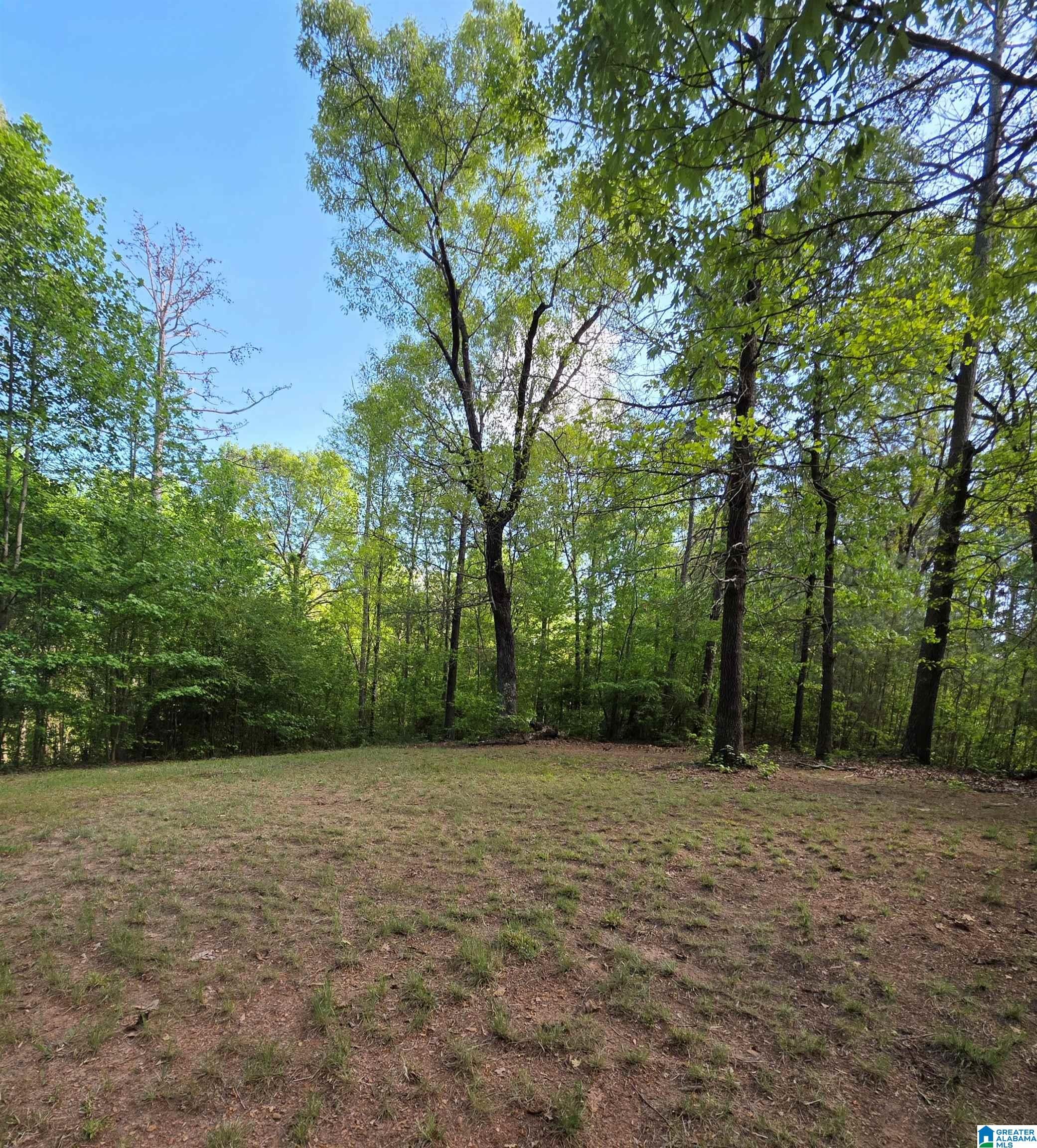 2910 COUNTY ROAD 92