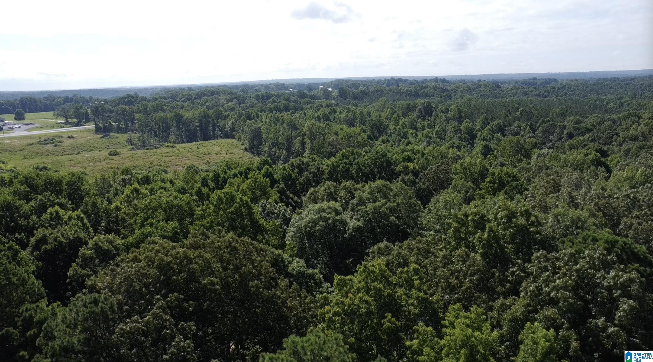 14959 ALABAMA HIGHWAY 157 1
