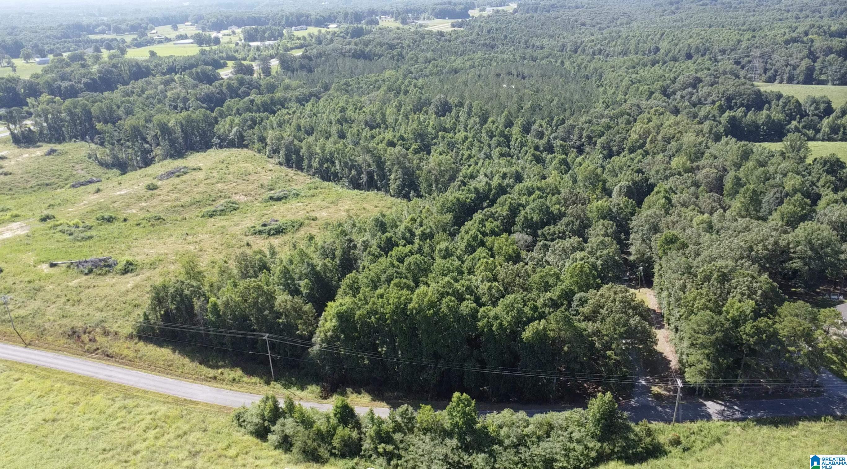 14959 ALABAMA HIGHWAY 157 1