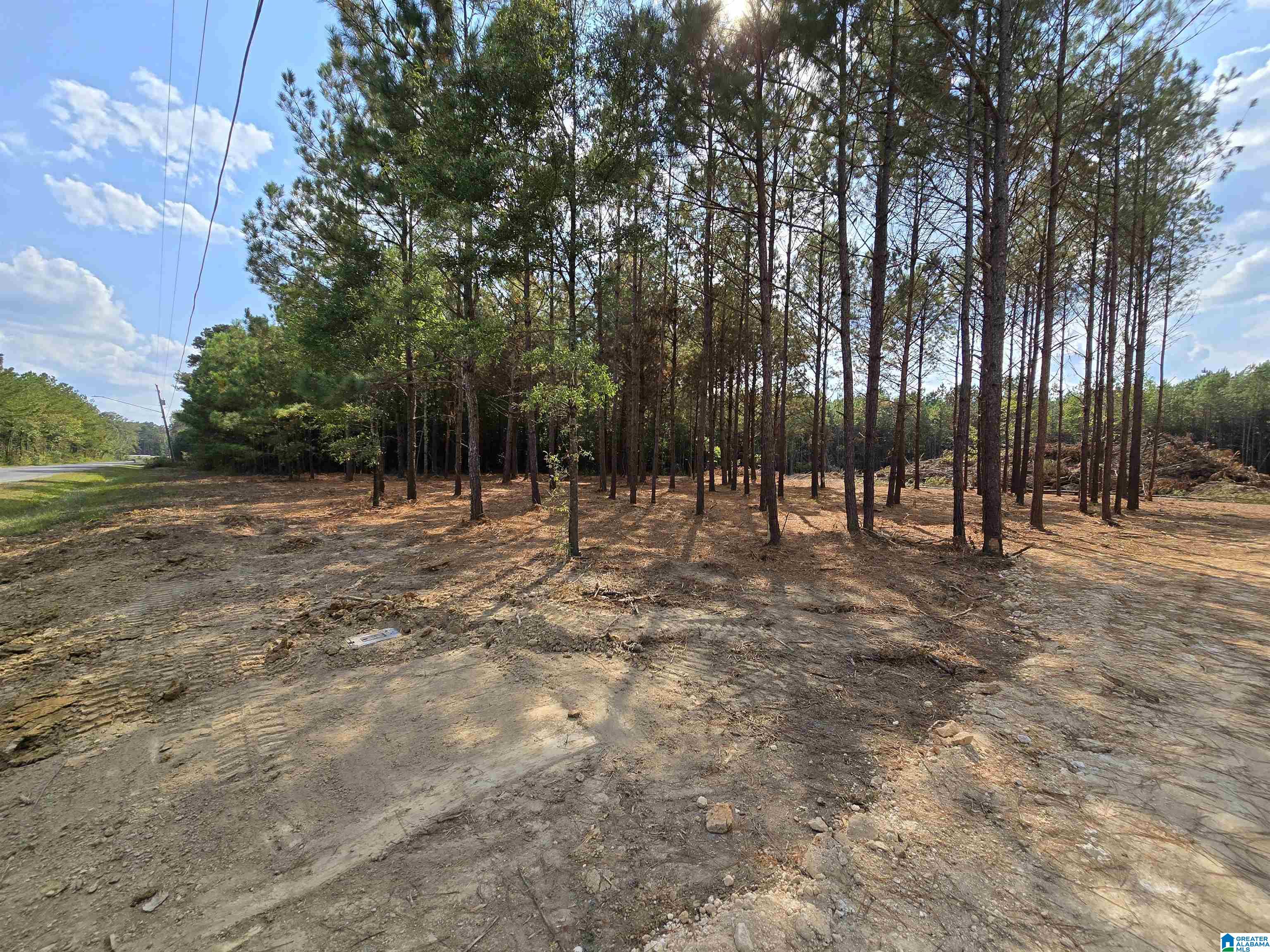 Photo 1 of 3 — 5.88 Acres COVINGTON AVENUE SE 16 Trac1 and Trac2, ATTALLA, AL 35954