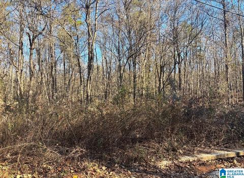 449 DAVIS STREET 20 WILSONVILLE AL 35186