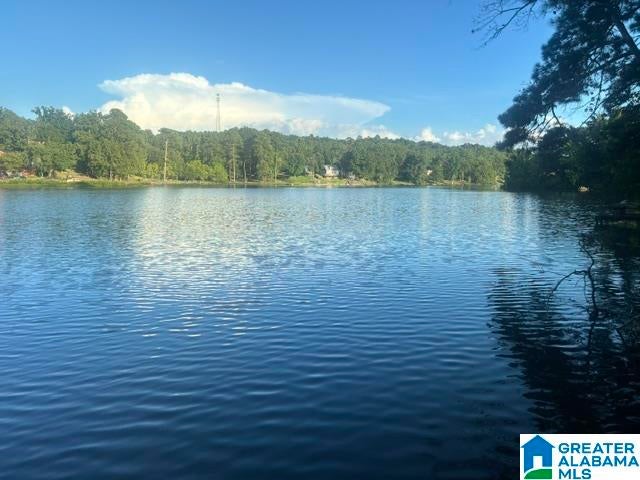 12882 BEL AIR CIRCLE