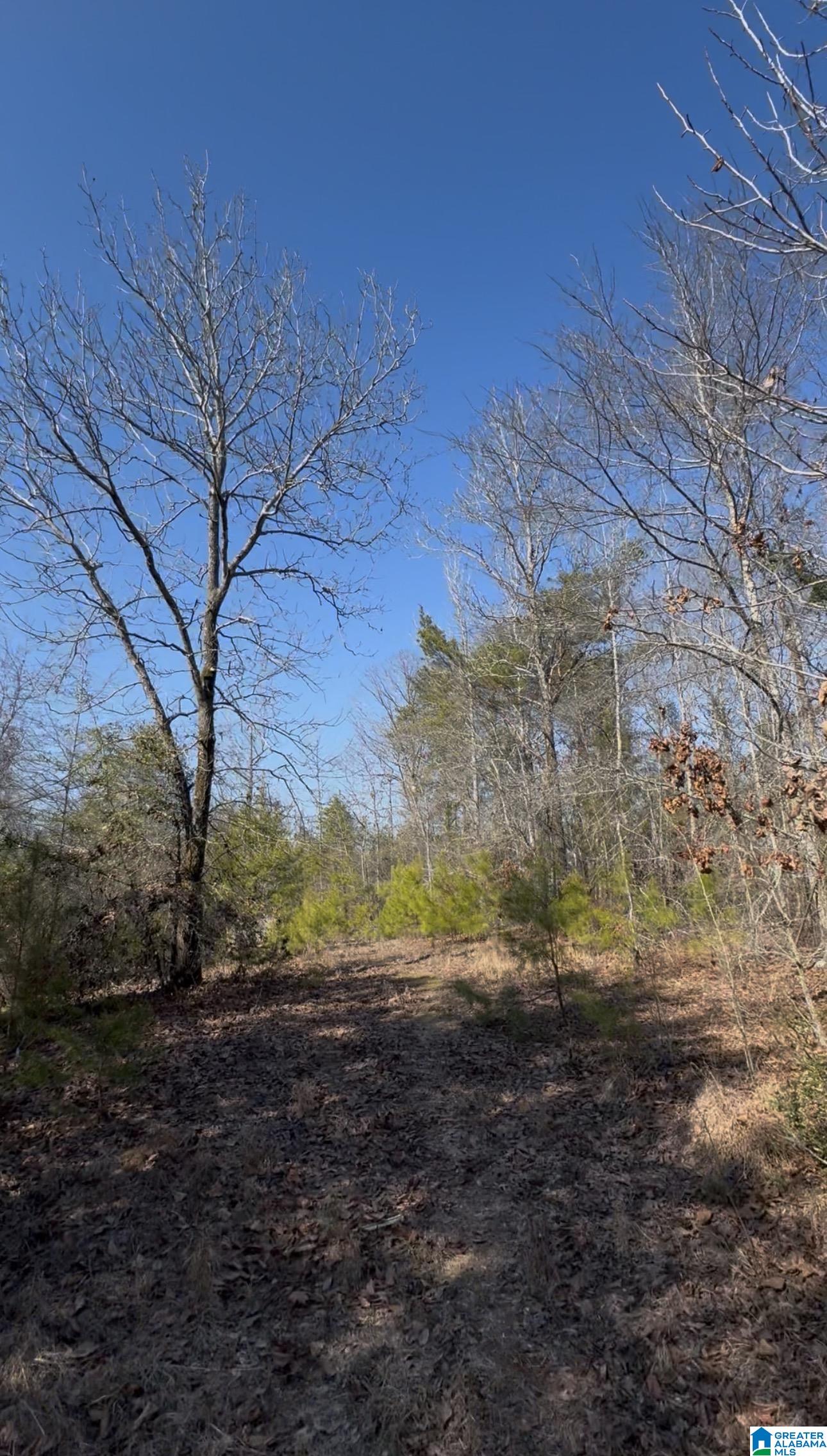 10 ROCKYVIEW ROAD 10