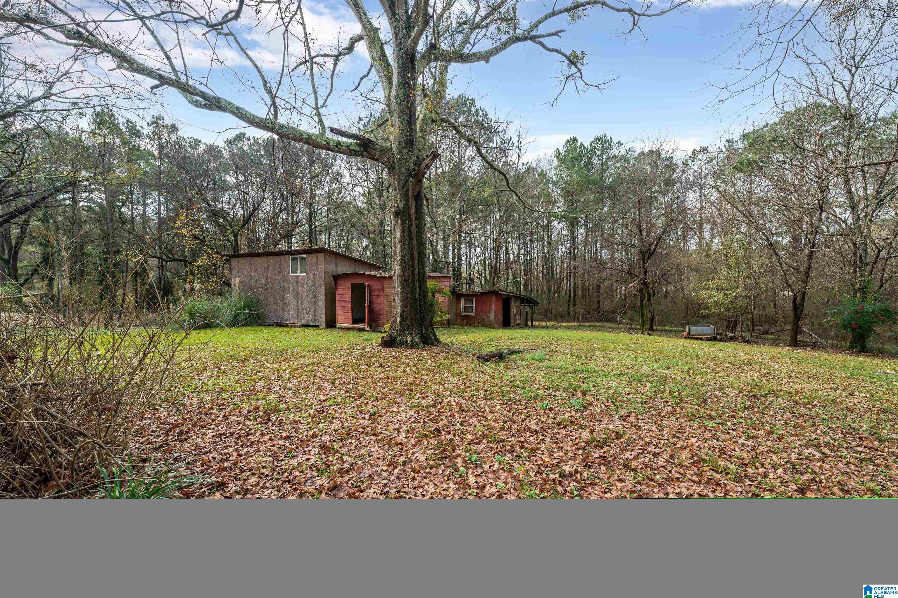 3551 MITCHELL LANE