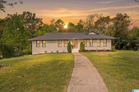 3528 DEERFIELD DRIVE HOOVER AL 35226