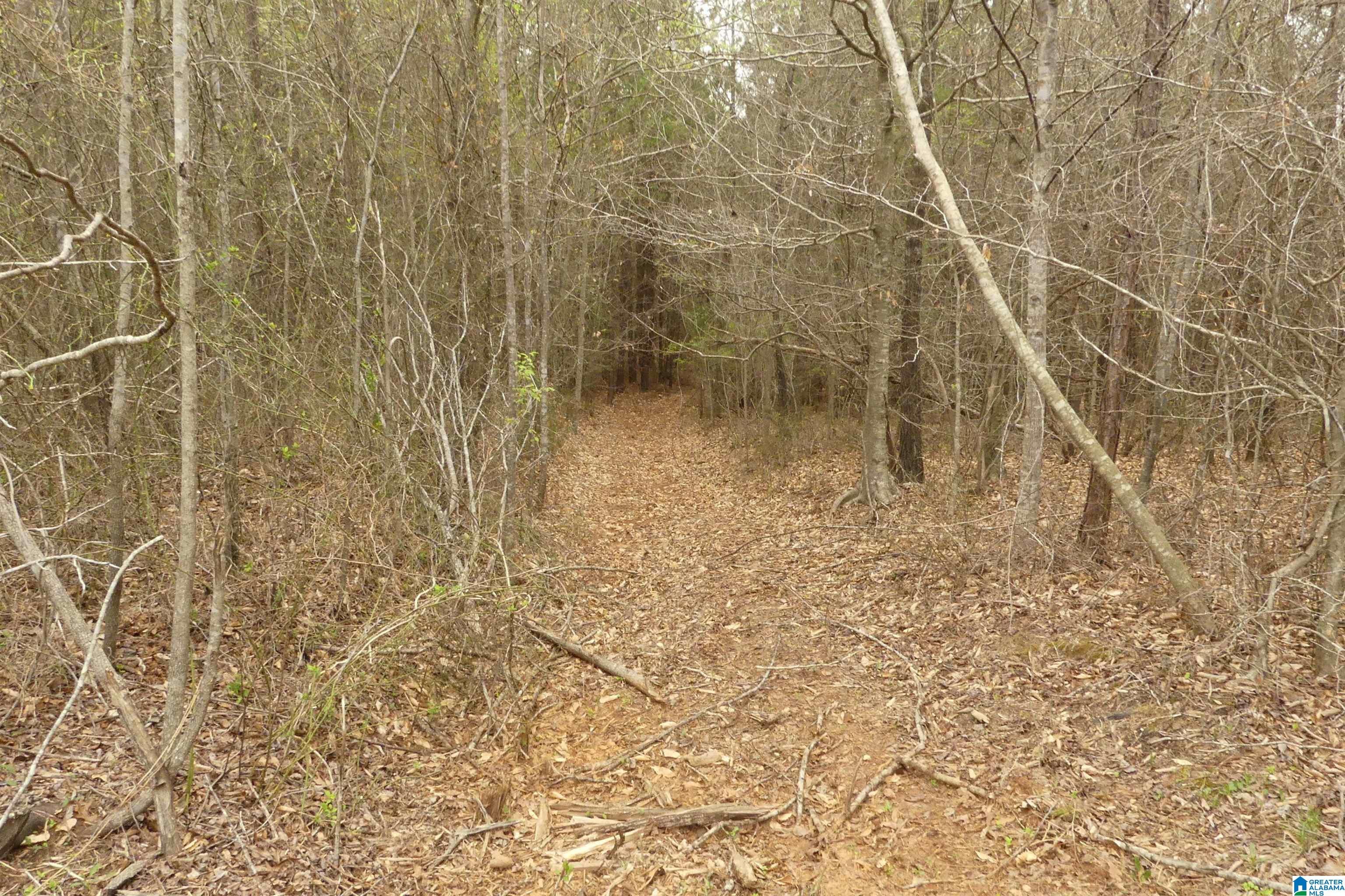 54 Acres COUNTY ROAD 15 00