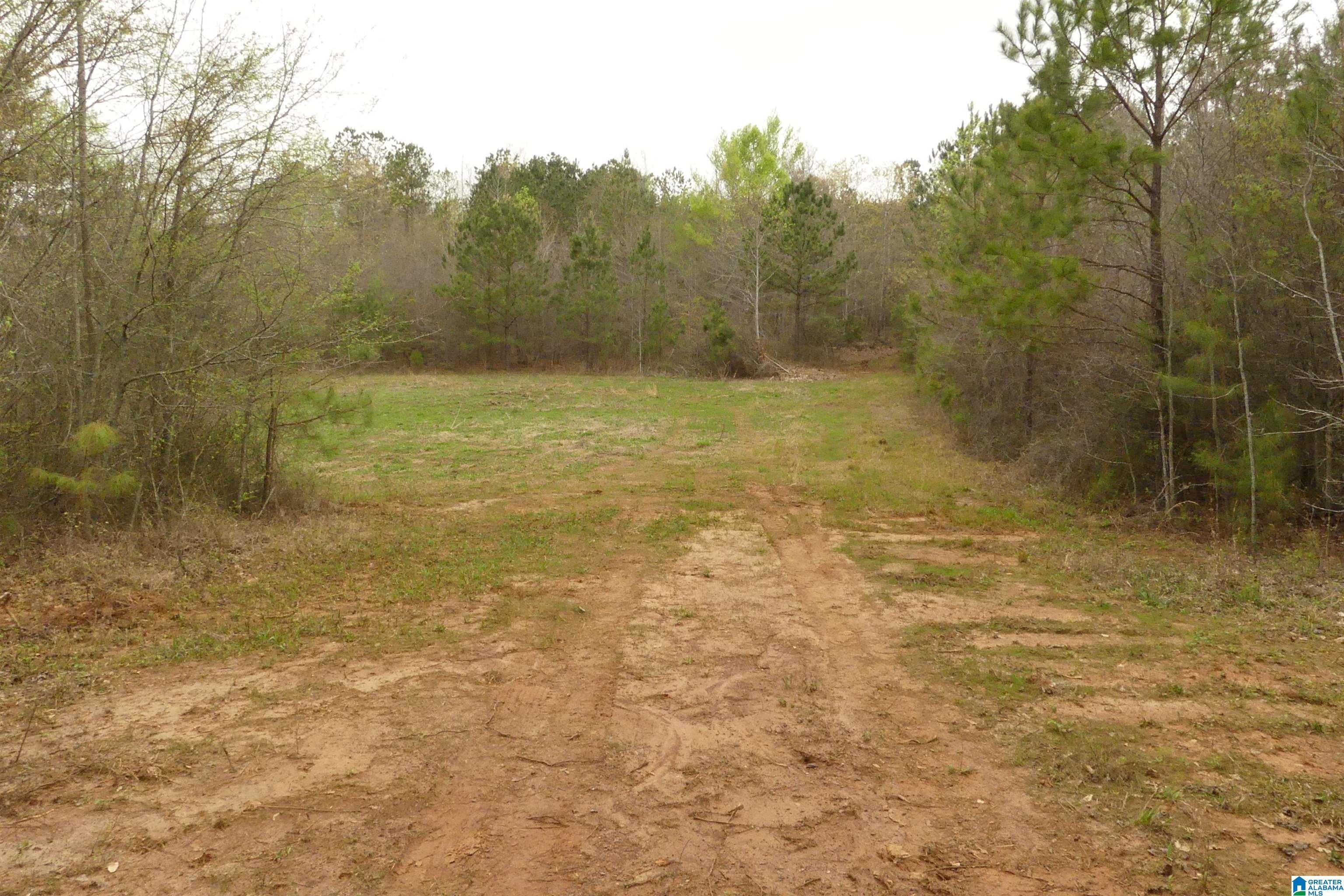 54 Acres COUNTY ROAD 15 00