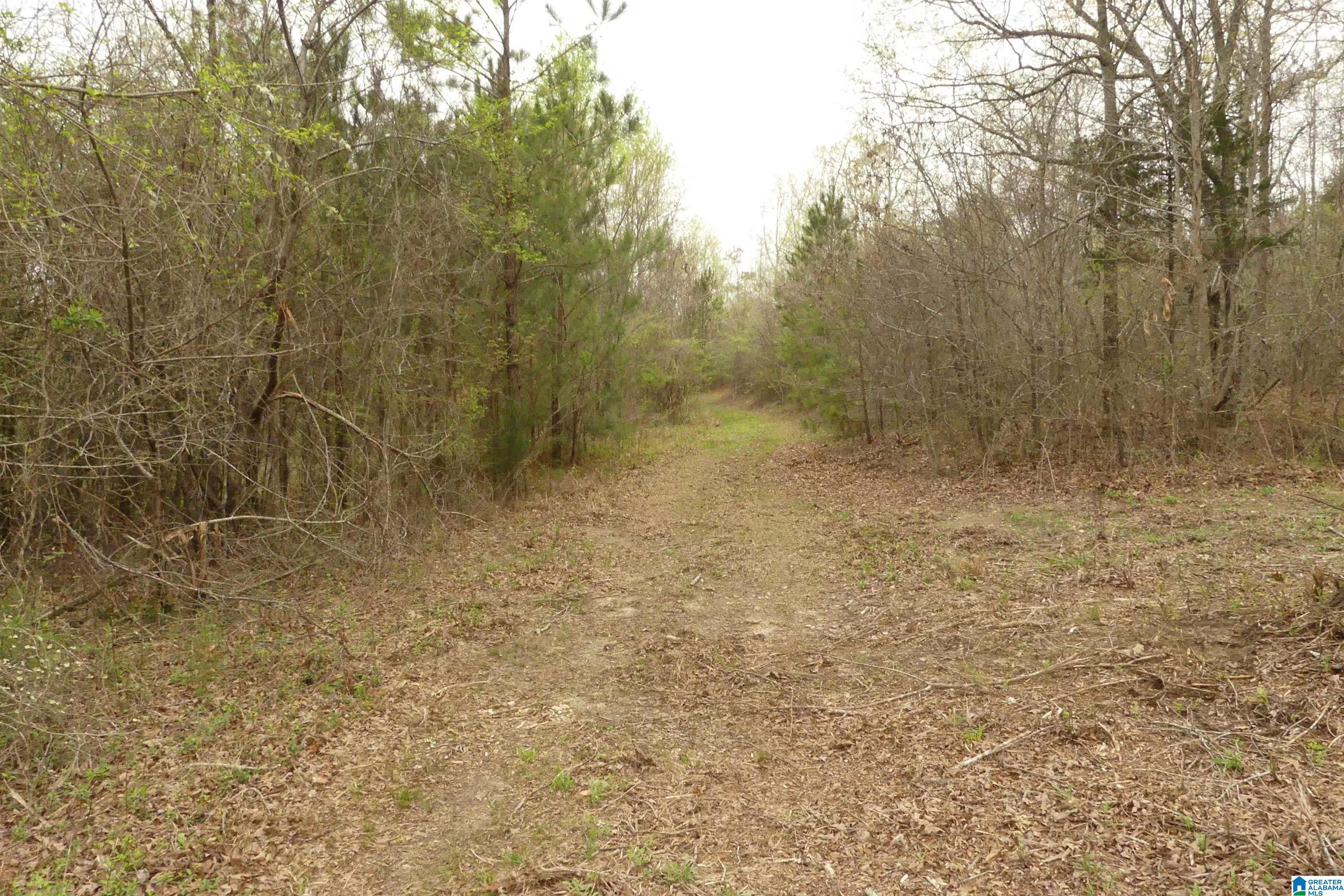 54 Acres COUNTY ROAD 15 00