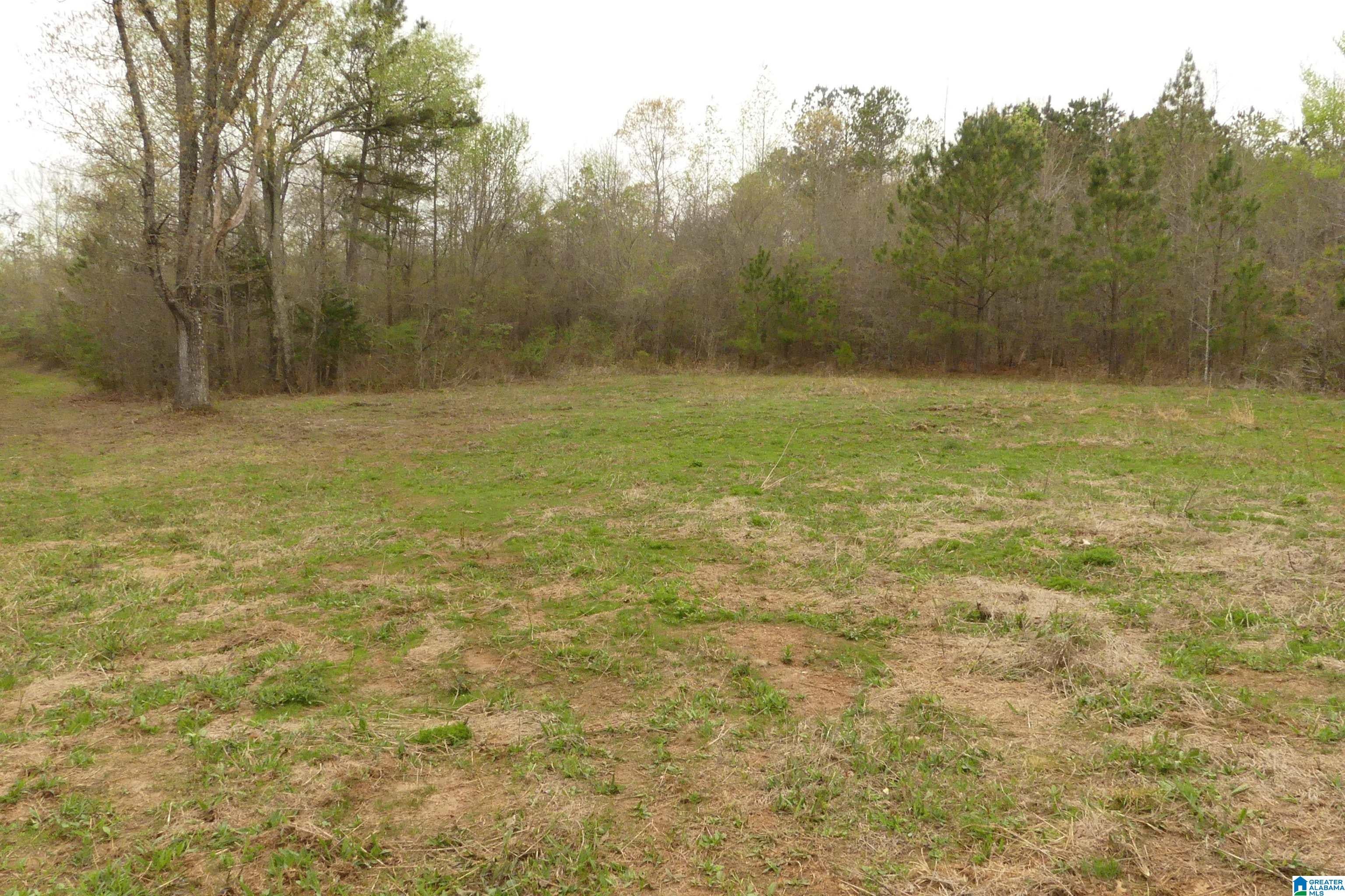 54 Acres COUNTY ROAD 15 00