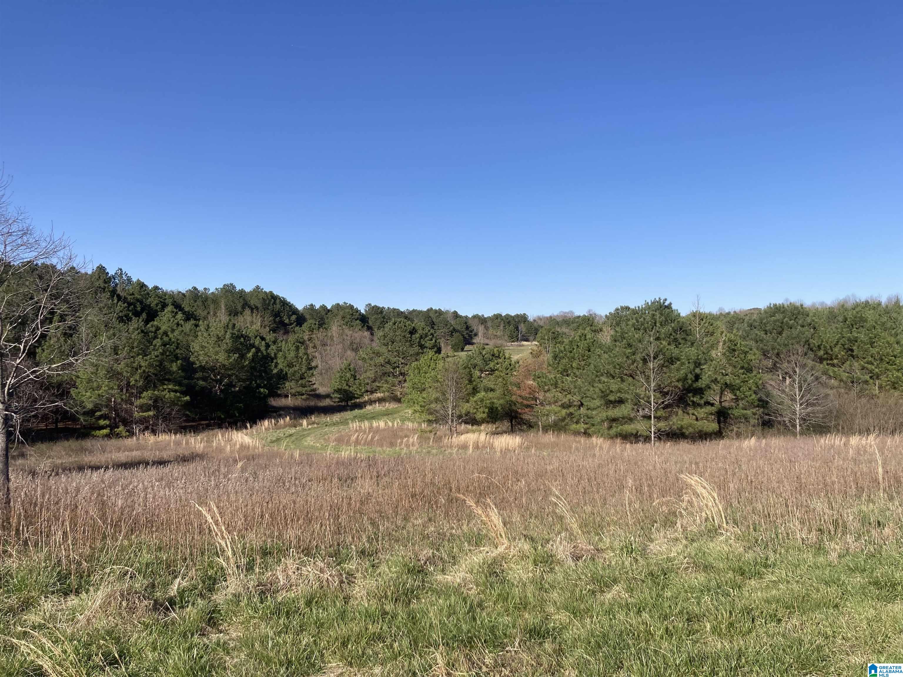 2362 JONES CHAPEL ROAD