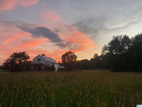 2362 JONES CHAPEL ROAD SPRINGVILLE AL 35146