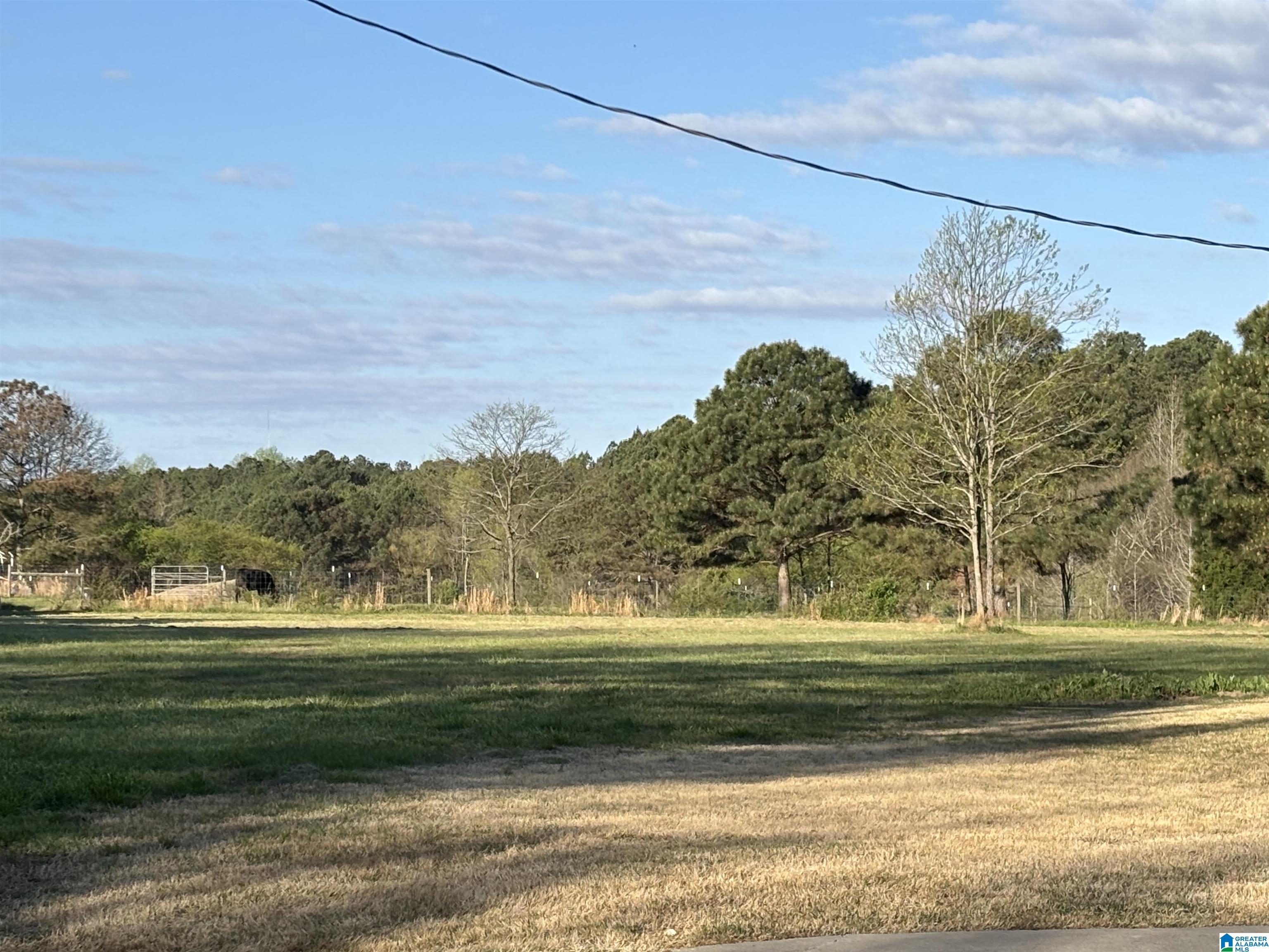 2362 JONES CHAPEL ROAD